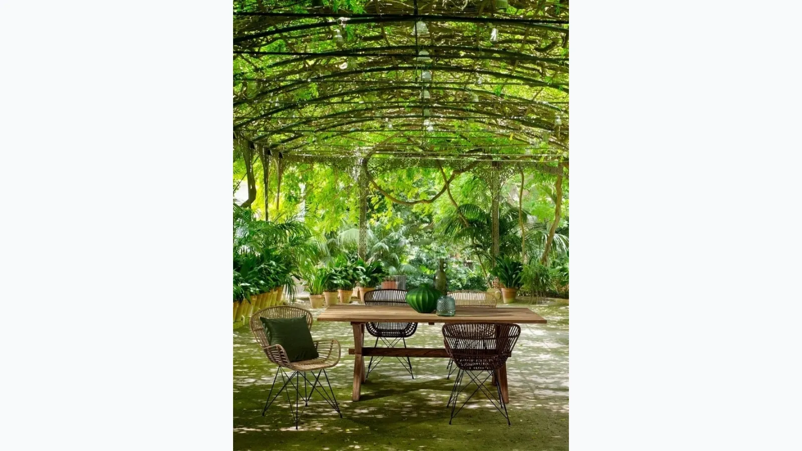 Rattan armchair Venturs by Bizzotto