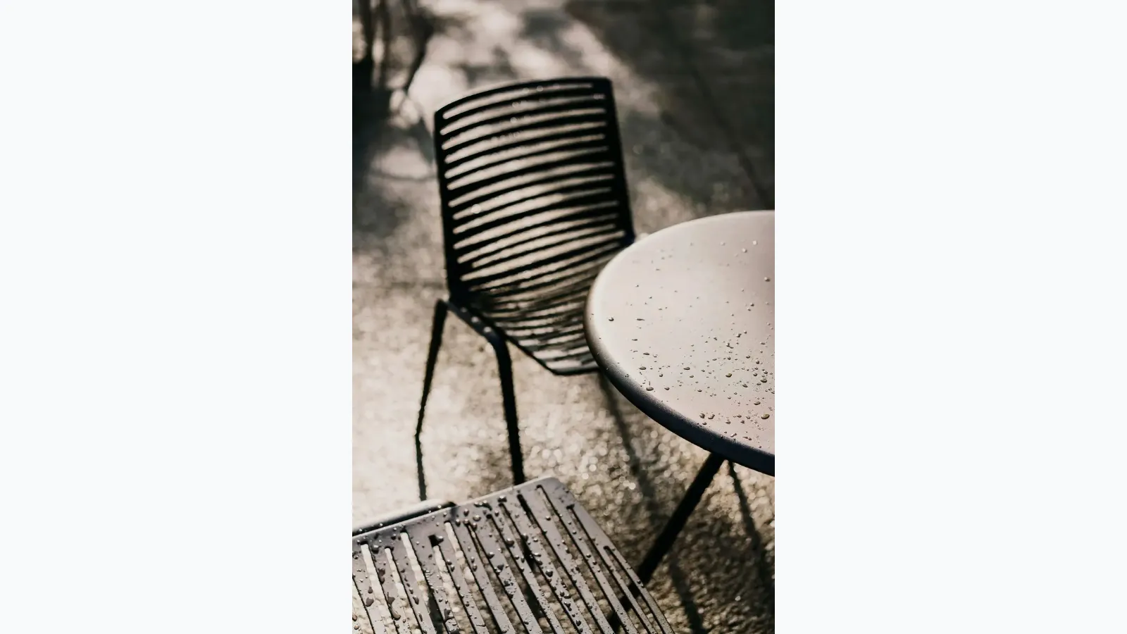 Zebra chair by Fast.