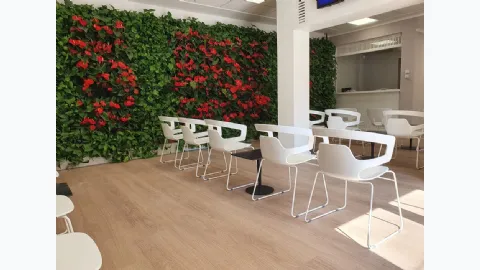 Guest seating and Alias' Segesta waiting