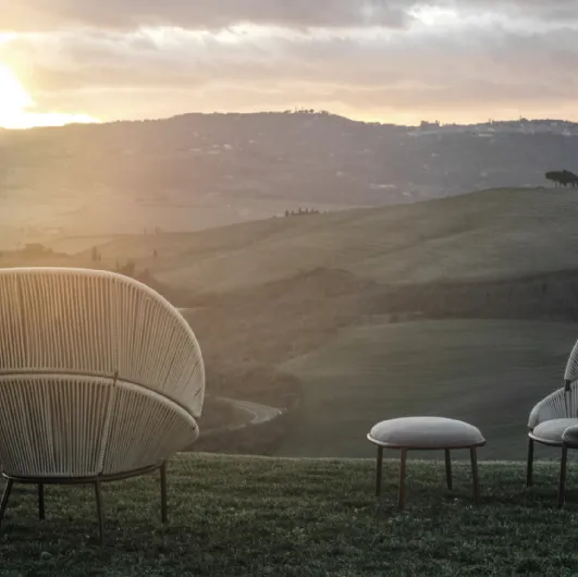 Petalo armchair by Molteni & C.